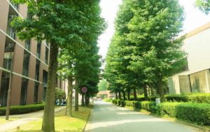 進学・学部選択