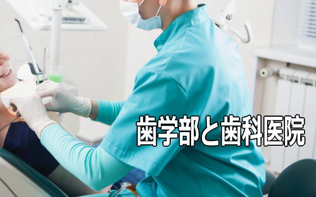 鹿児島大学歯学部と歯科医院