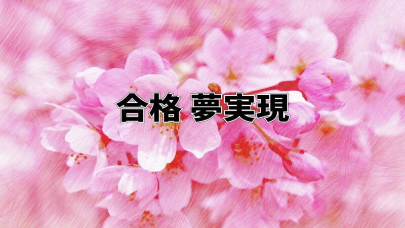 Youtube動画チャンネル開設しました